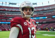 arizona cardinals vs buffalo bills match player stats