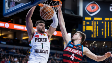 Perth Wildcats vs JackJumpers Match Player Stats