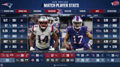 New England Patriots vs Buffalo Bills Match Player Stats