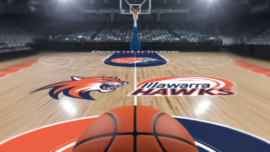 Perth Wildcats vs Illawarra Hawks Match Player Stats