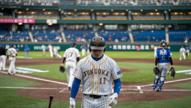 Fukuoka SoftBank Hawks vs Seibu Lions Match Player Stats